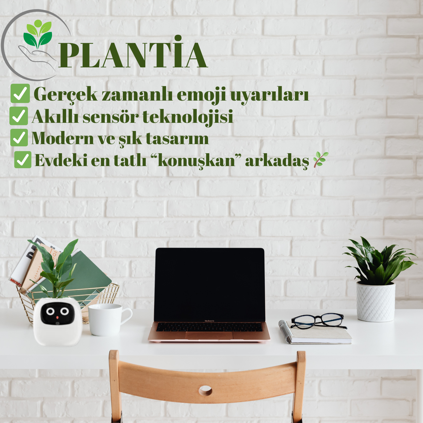 PLANTİA YEŞİLRUH
